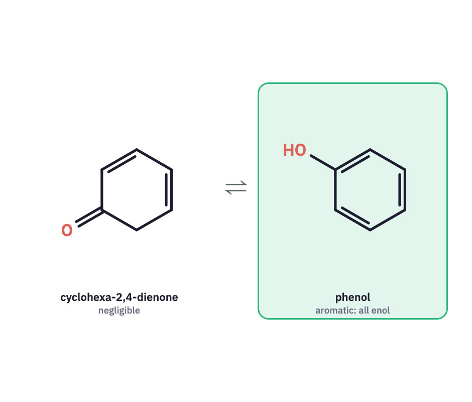 Cyclohexadienone and phenol.