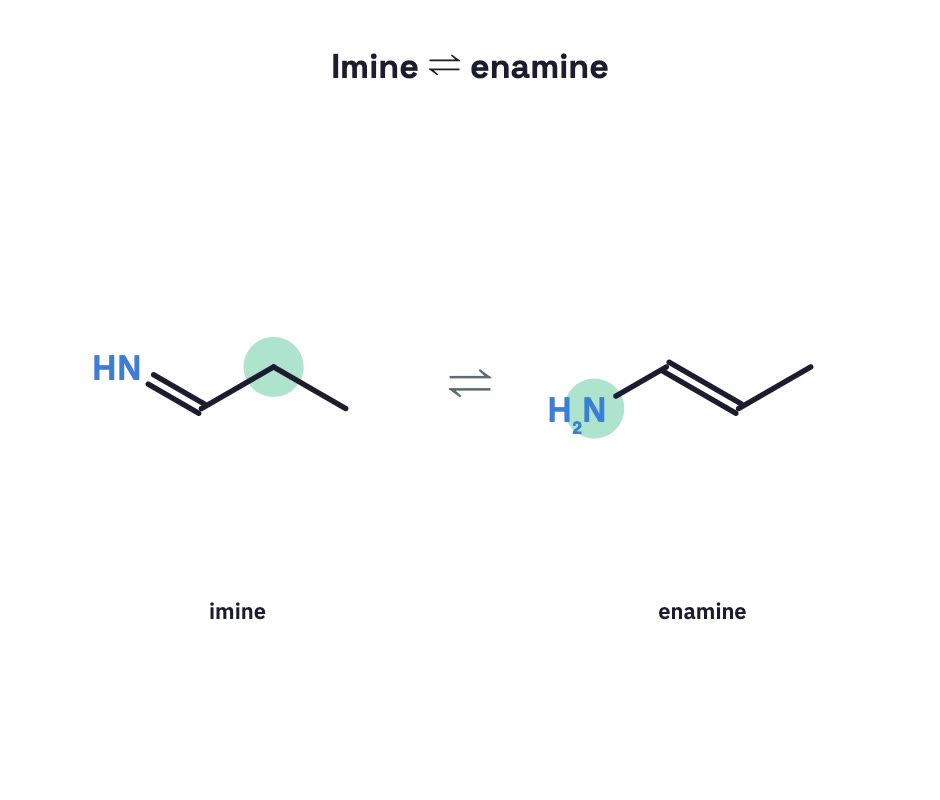 Imine and enamine tautomers.