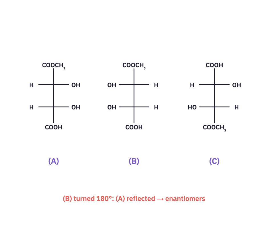 Fischer projections A, B and C.
