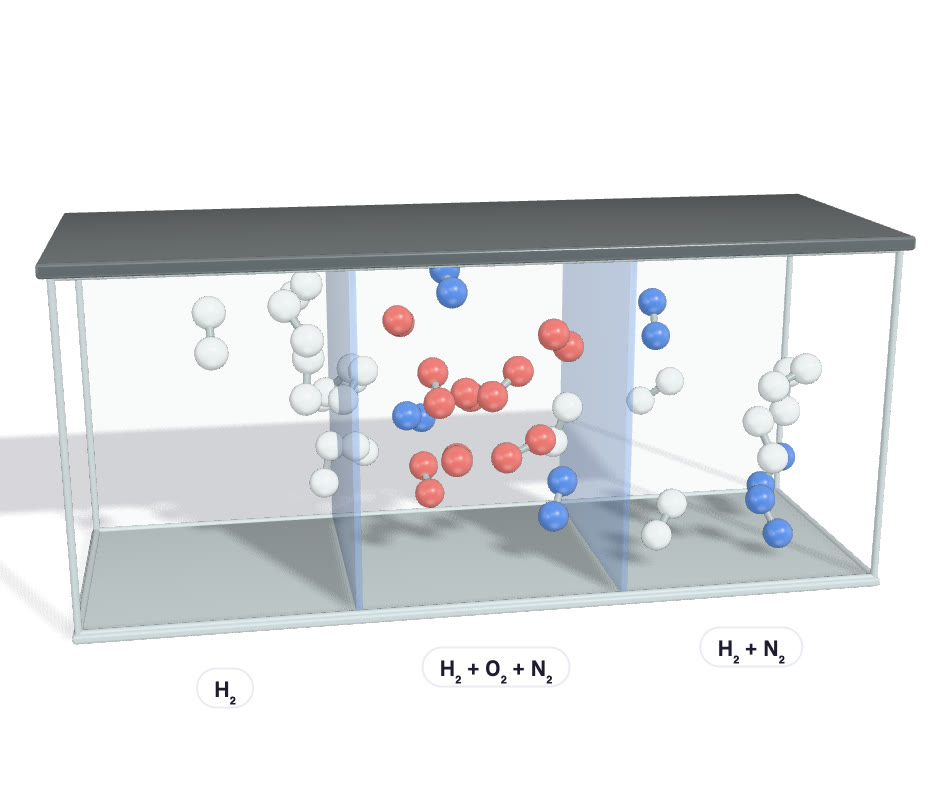 A vessel in three parts with semipermeable partitions.